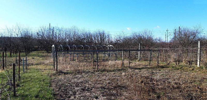 sk petofi 124 04.jpg